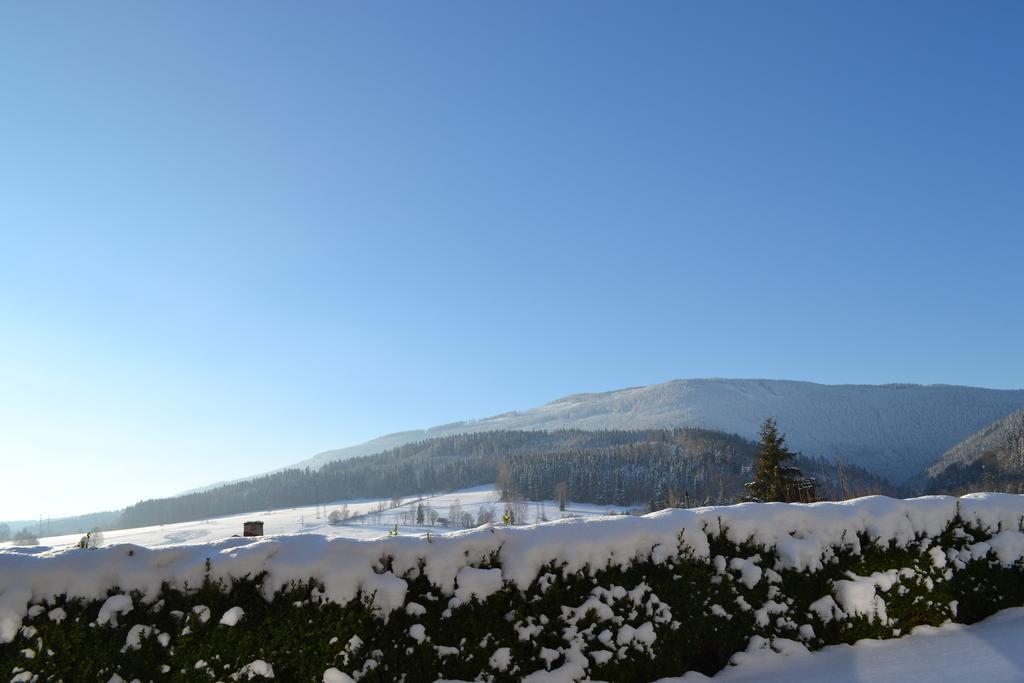 Ubytovani V Soukromi - U Hlinku Horní Maršov Exterior foto
